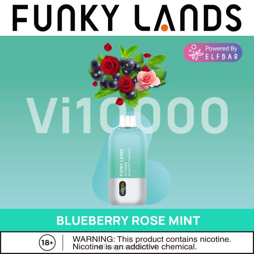 ELF BAR Großhandel | ELFBAR Funky Lands Einweg-Vape VI10000 Züge Blaubeer-Rosen-Minze VRHLDB163